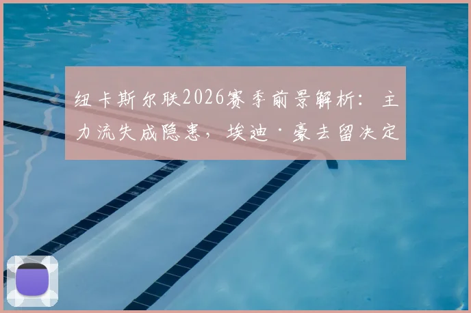 纽卡斯尔联2026赛季前景解析：主力流失成隐患，埃迪·豪去留决定牵动人心，天空体育最新报道